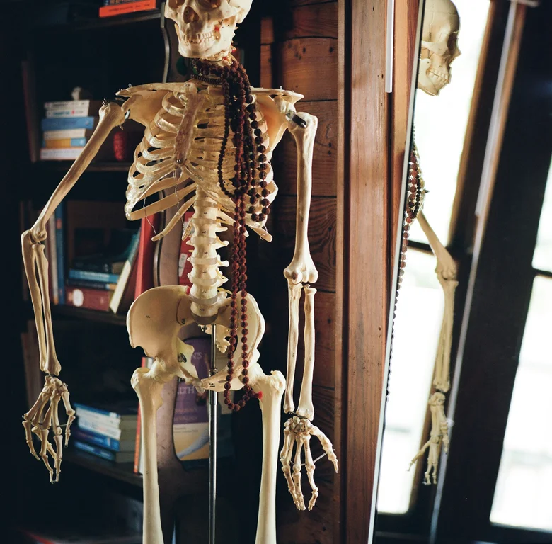 Anatomy skeleton draped with mala beads in the studio